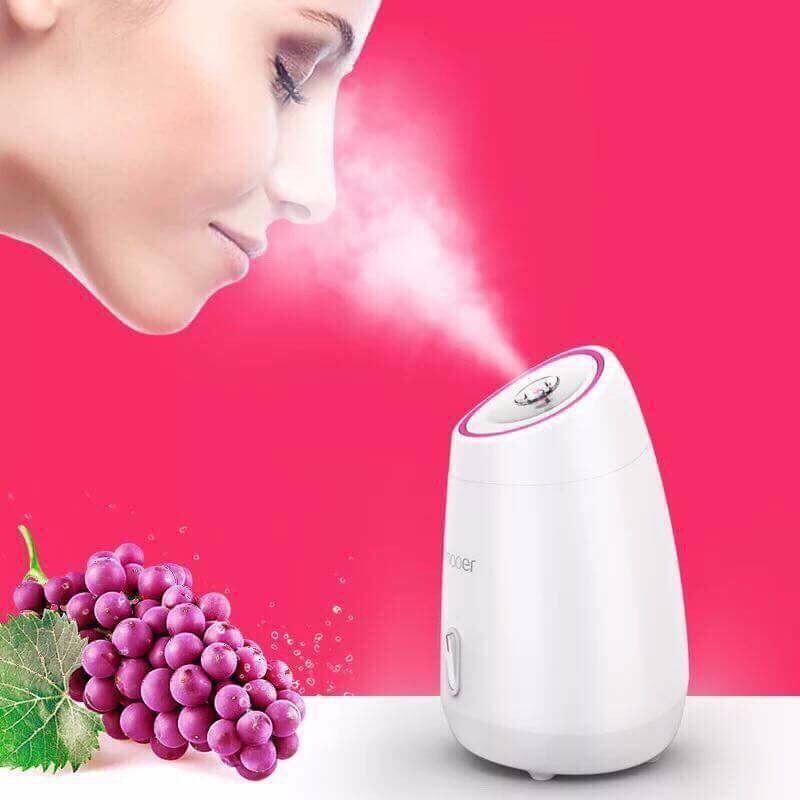 Máy xông mặt thảo dược ion âm