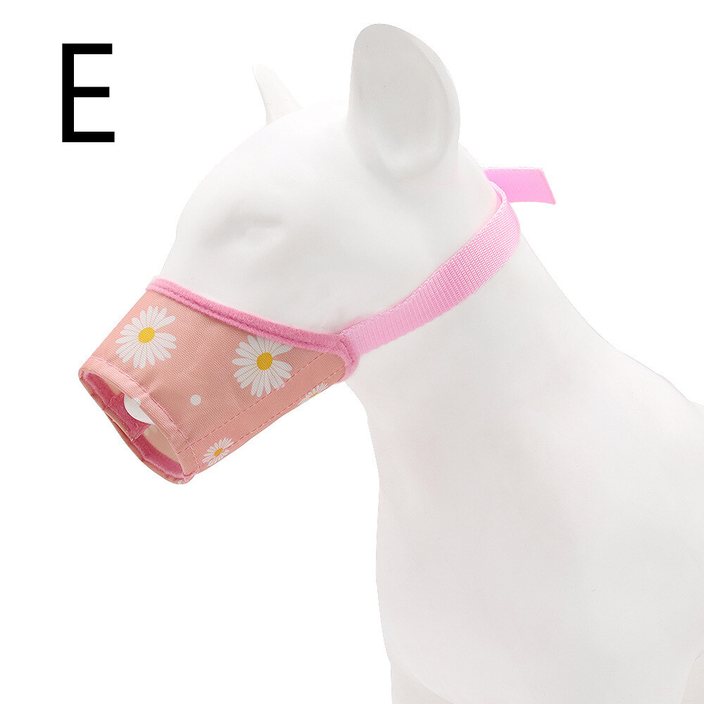 E.jpg