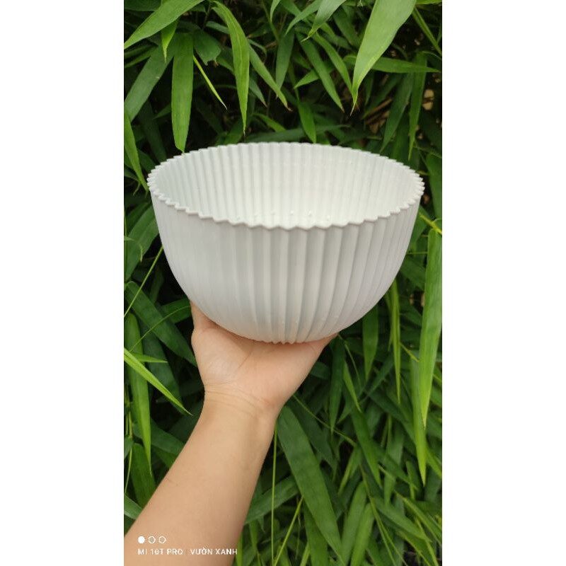 Chậu nhựa trồng cây cảnh, chậu sọc dáng tròn, chât nhựa loại 1, bền dẻo