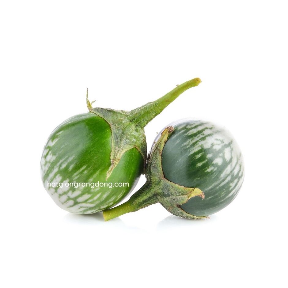 Hạt giống cà dĩa sọc xanh 1gram