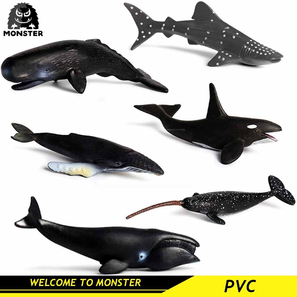 Mô Hình Động Vật Biển MONSTER 6 Mô Hình Mô Phỏng Cá Đuối Cá Mập Rùa Cá Voi Mini Mô Hình Hành Động Biển Tượng Nhỏ Bộ Sưu Tập Đồ Chơi Thu Nhỏ Bằng Nhựa PVC Mô Hình Hành Động Đồ Chơi Giáo Dục Trẻ Em Đồ Chơi Cho Bé Trai Đồ Chơi Cho Bé Gái