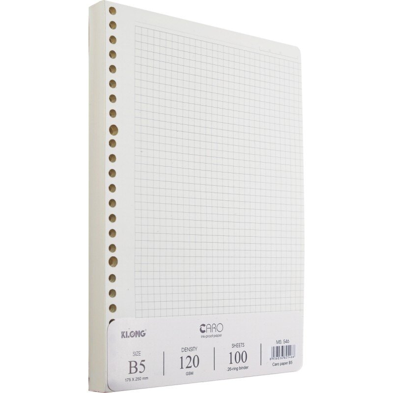 Ruột sổ còng 26 chấu caro b5 - 100 tờ klong ms 546