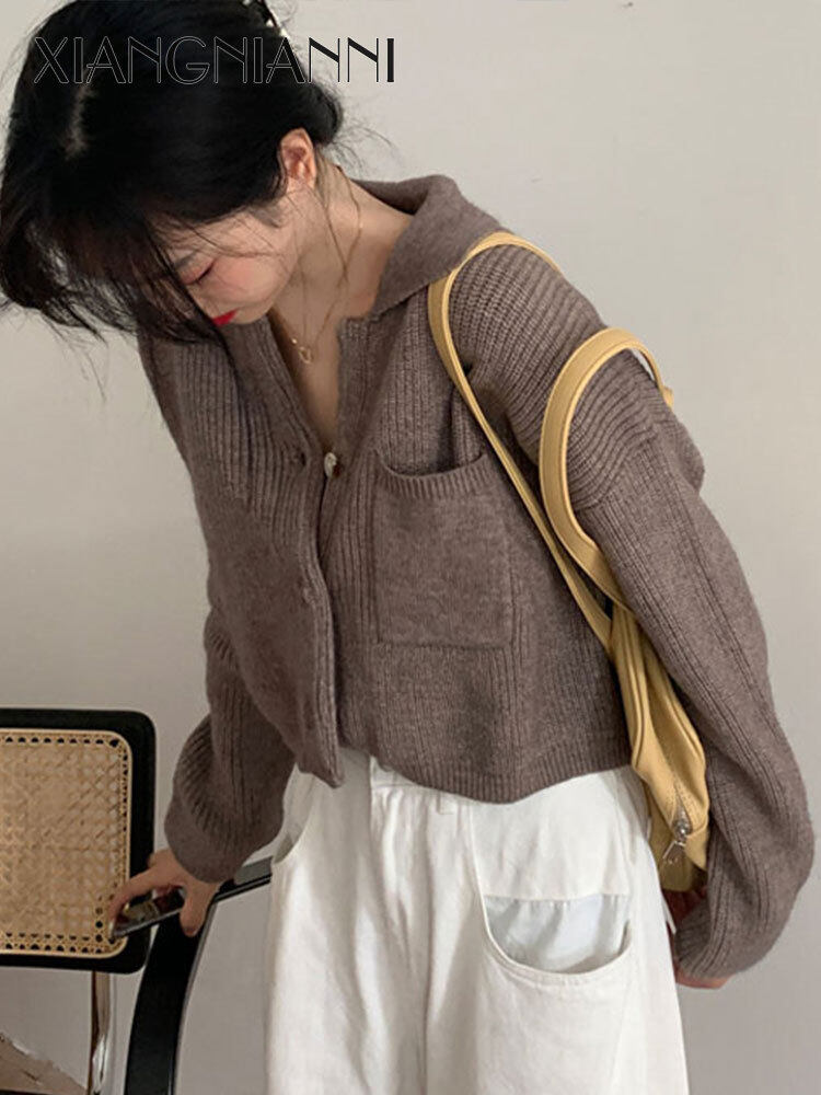 XIANG NIAN NI women s sweater Hong Kong Style BM Soft Waxy Knitted Sweater
