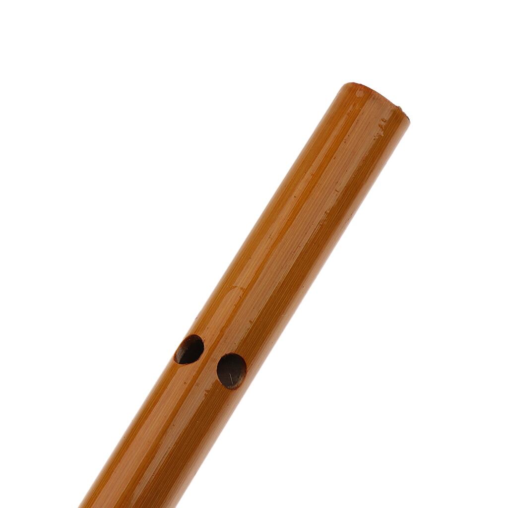Bamboo shakuhachi flute vertical flute musical present woodwind instrument.