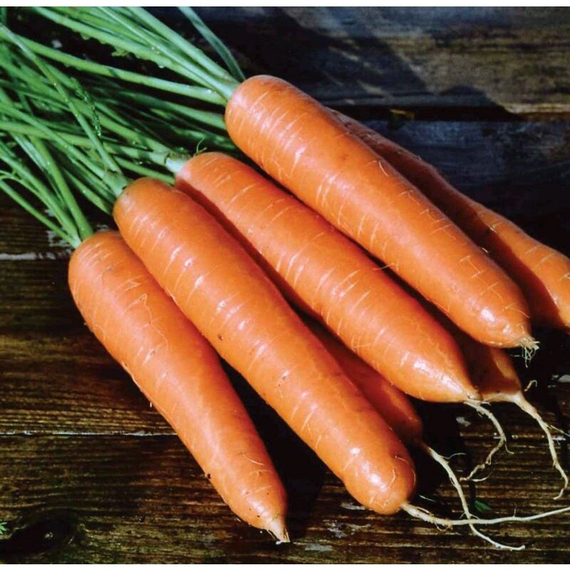 Hạt giống cà rốt orange gói 2gr
