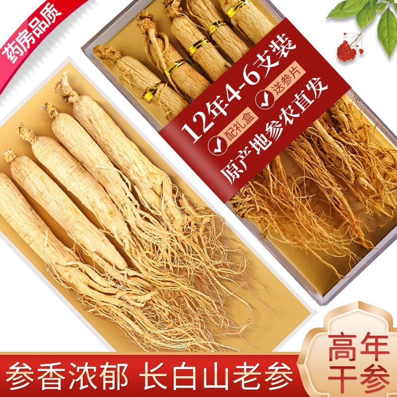 Nhân sâm hoang dã núi trường bạch nhân sâm hoang dã nhân sâm trắng nhân sâm khô nguyên nhân nhân sâm tròn bán buôn