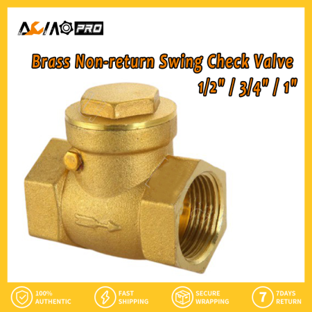 AumoPro Brass Non-return Swing Check Valve, 1/2"-1" Female Thread