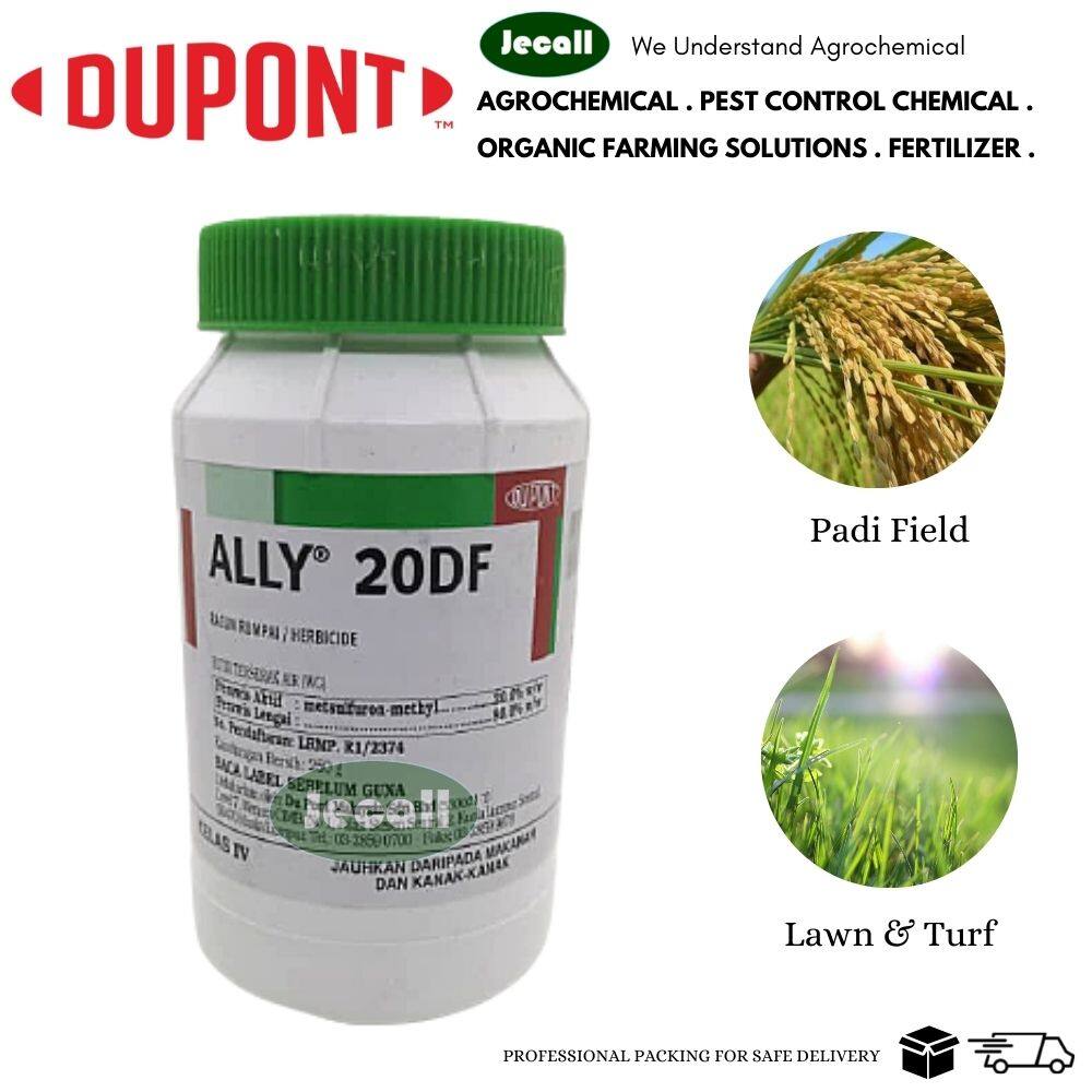 Dupont Ally 20DF Selective Herbicide 250G / Metsulfuron-methy 20% w/w /  Broadleaf / Dicot / Lawn / Turf / Padi Broadleaf Weed Control Paddy & Oil  Palm Herbicide Systemic Weed Killer - Lazada | Lazada