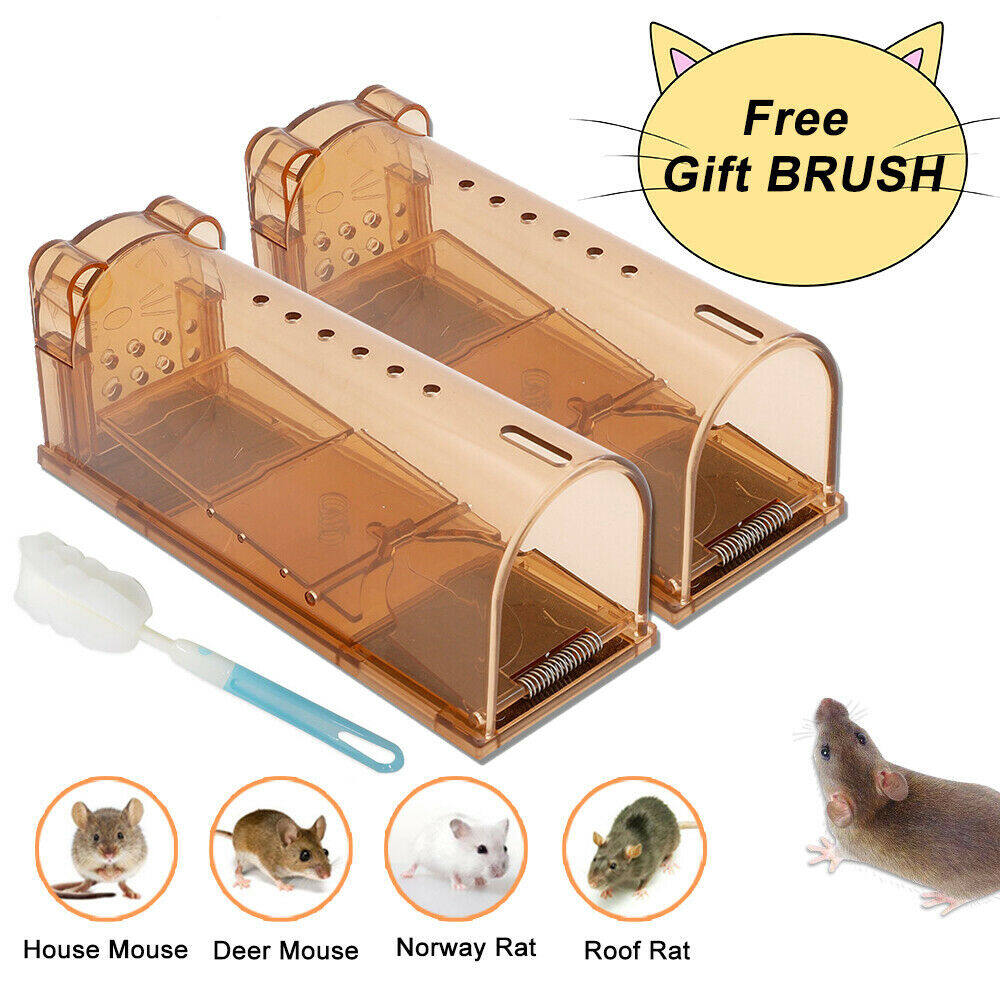 hamster trap diy