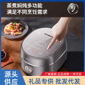 Jiuyang 3L Electric Rice Cooker with Stainless Steel Kettle