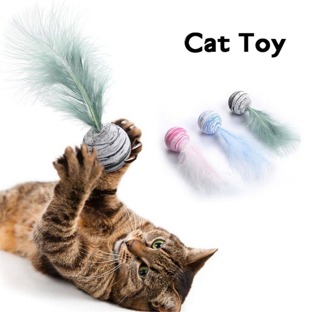 cat supplies and toys