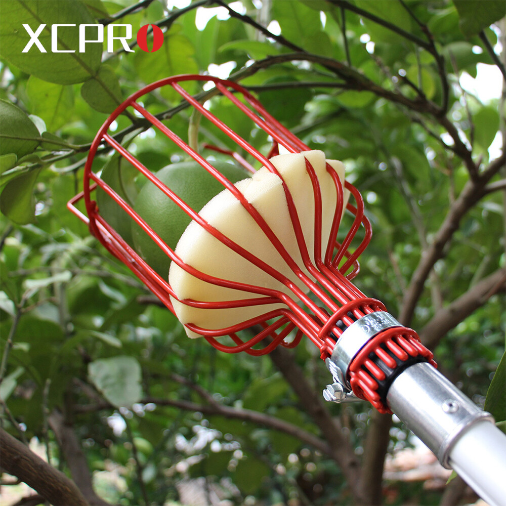 Dụng cụ hái trái cây giỏ xoắn dụng cụ hái trái cây nhẹ bằng thép không gỉ