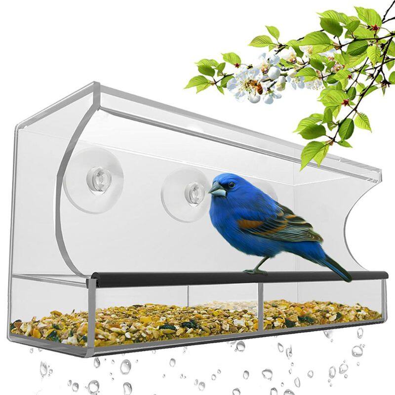 indoor bird feeder window