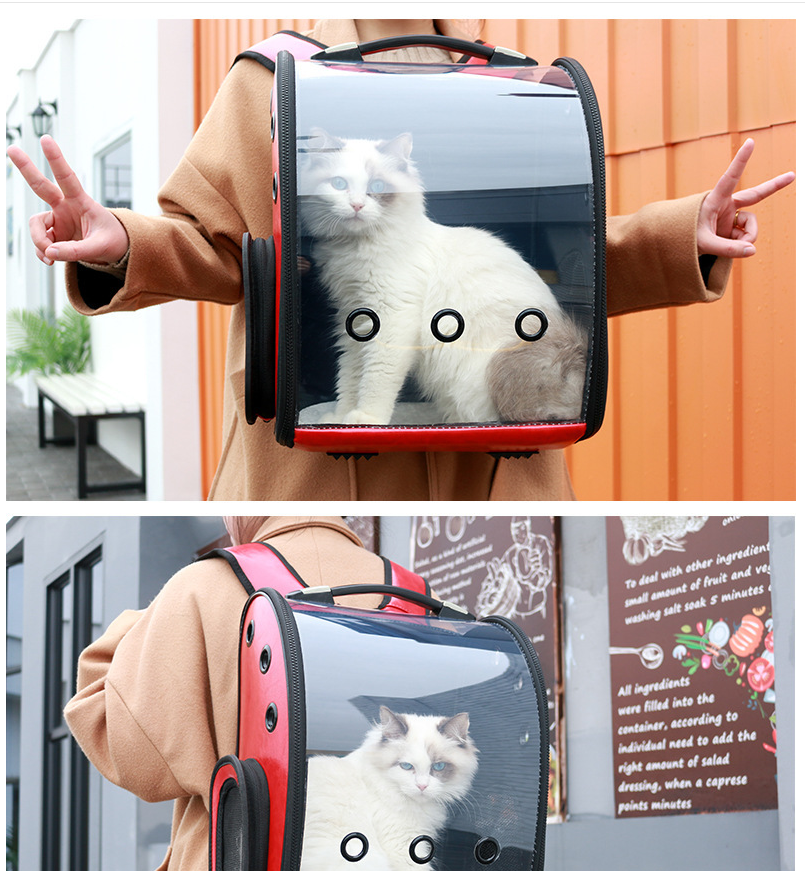 Túi Đựng Mèo Cho Thú Cưng Đi Ra Ngoài Buồng Kín Không Gian Toàn Cảnh Di Động Túi Không Gian Balo Gấp Lại Được Chó