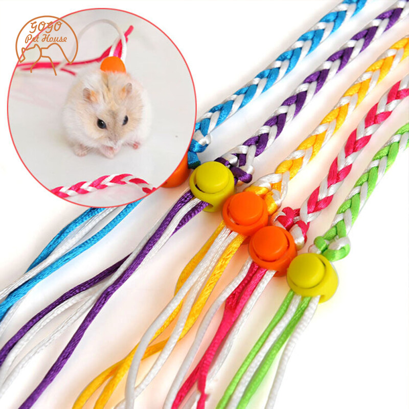 Diy hamster hot sale leash