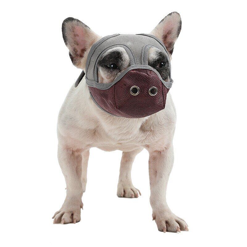 Chó mõm ngắn mõm chống cắn có thể điều chỉnh ngăn chặn nhai sủa chó pháp Bulldog Pug lưới thoáng khí vật nuôi