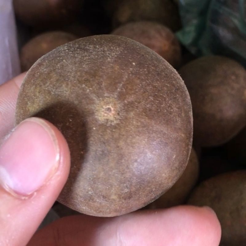 5 trái la hán quả nguyên