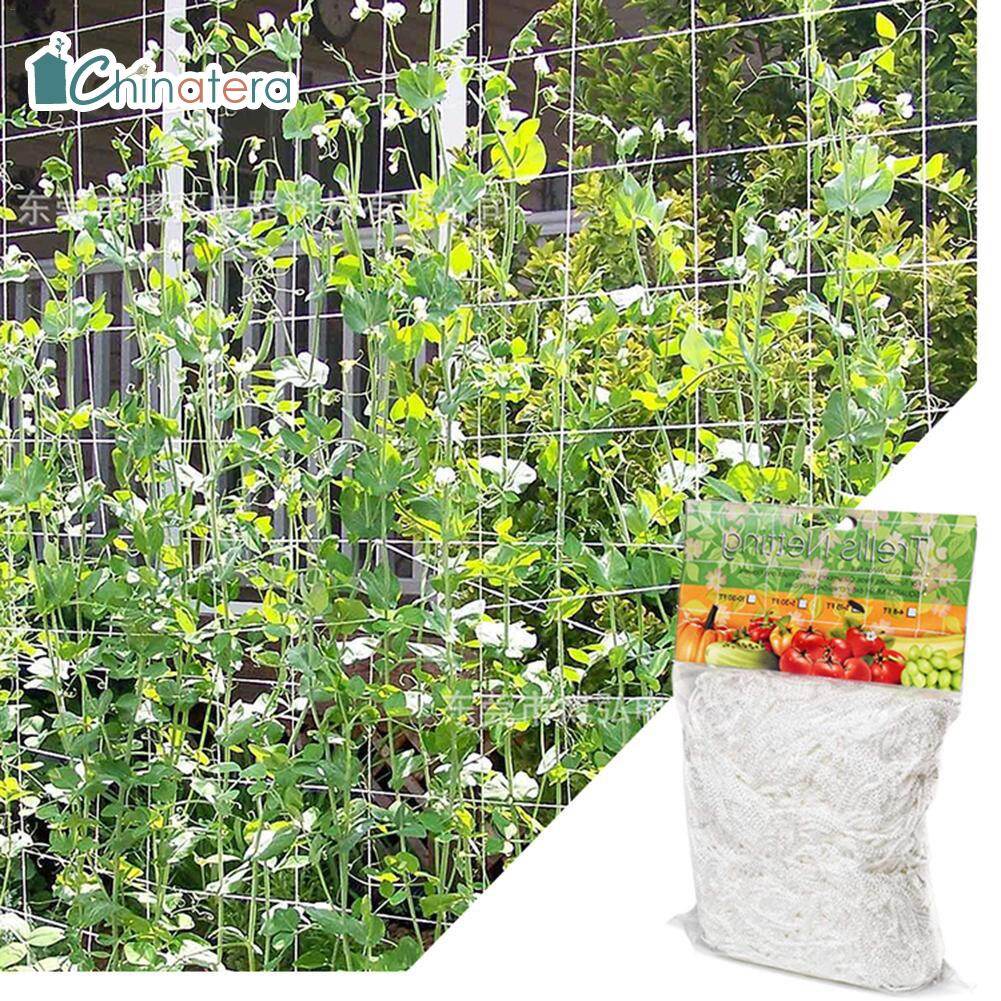 [Chinatera] Lưới Leo Cây Trong Vườn 1.67X5M, Lưới Lưới Mắt Cáo Trồng Cây Leo Hạt Nho Cà Chua Polyester Nho Lưới Hỗ Trợ Trồng Cây Nguồn Cung Cấp Vườn
