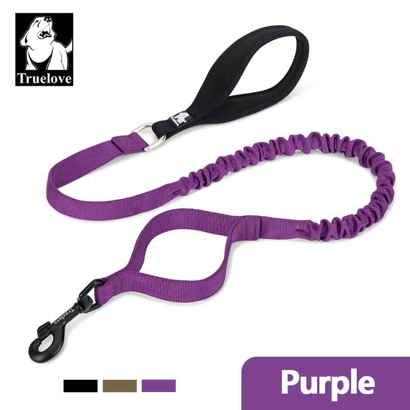 purple extendable dog lead