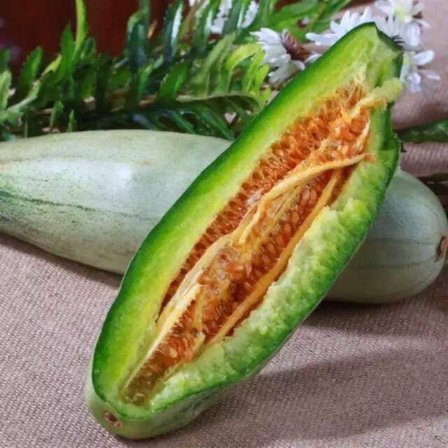 Hạt giống dưa chuối f1