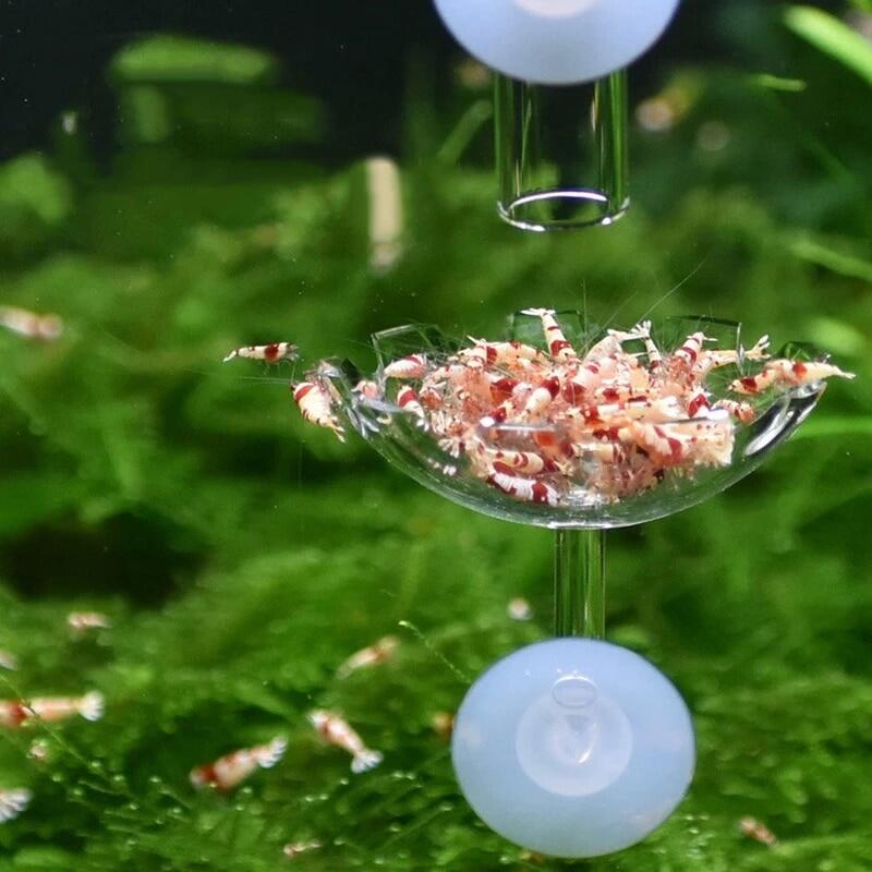 Khay đựng thức ăn nổi bể cá bằng acrylic trong suốt khay đựng thức ăn cho tôm cá khay đựng thức ăn phụ kiện bể cá