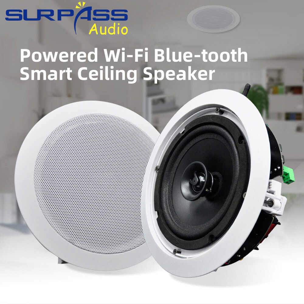 One คู่ WiFi เพดาน Coaxial ลำโพง 6 นิ้วลำโพงในตัว Class D เครื่องขยายเสียง Professional HIFi สเตอริโอเสียงโฮมเธียเตอร์เพลงพื้นหลัง ราคา 8,357 บาท*ส่งฟรี
