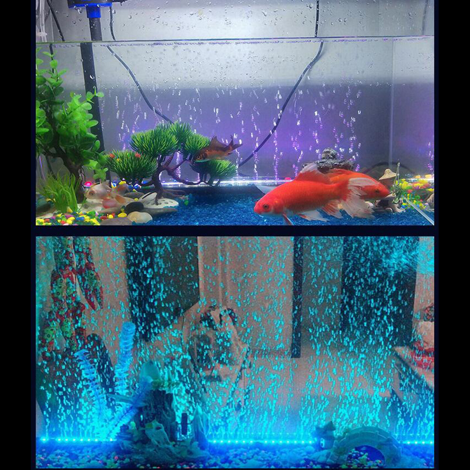 đèn led đầy màu sắc chống nước giúp trang trí và cung cấp bong bóng oxy cho hồ cá huanhuang - intl 10