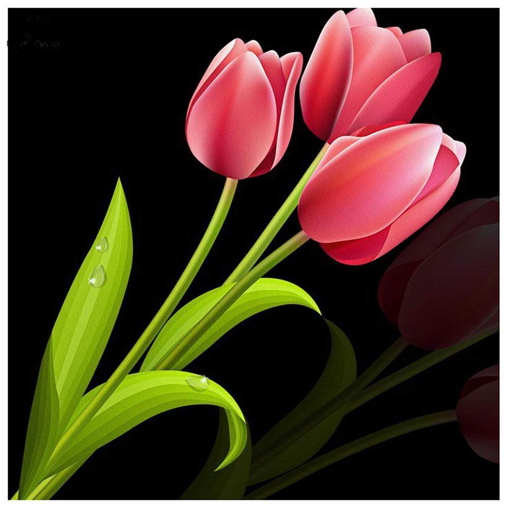 Beautifulhome Tranh Đính Đá Tròn 5D Tranh Đính Đá Treo Tường Hoa Tulip Màu