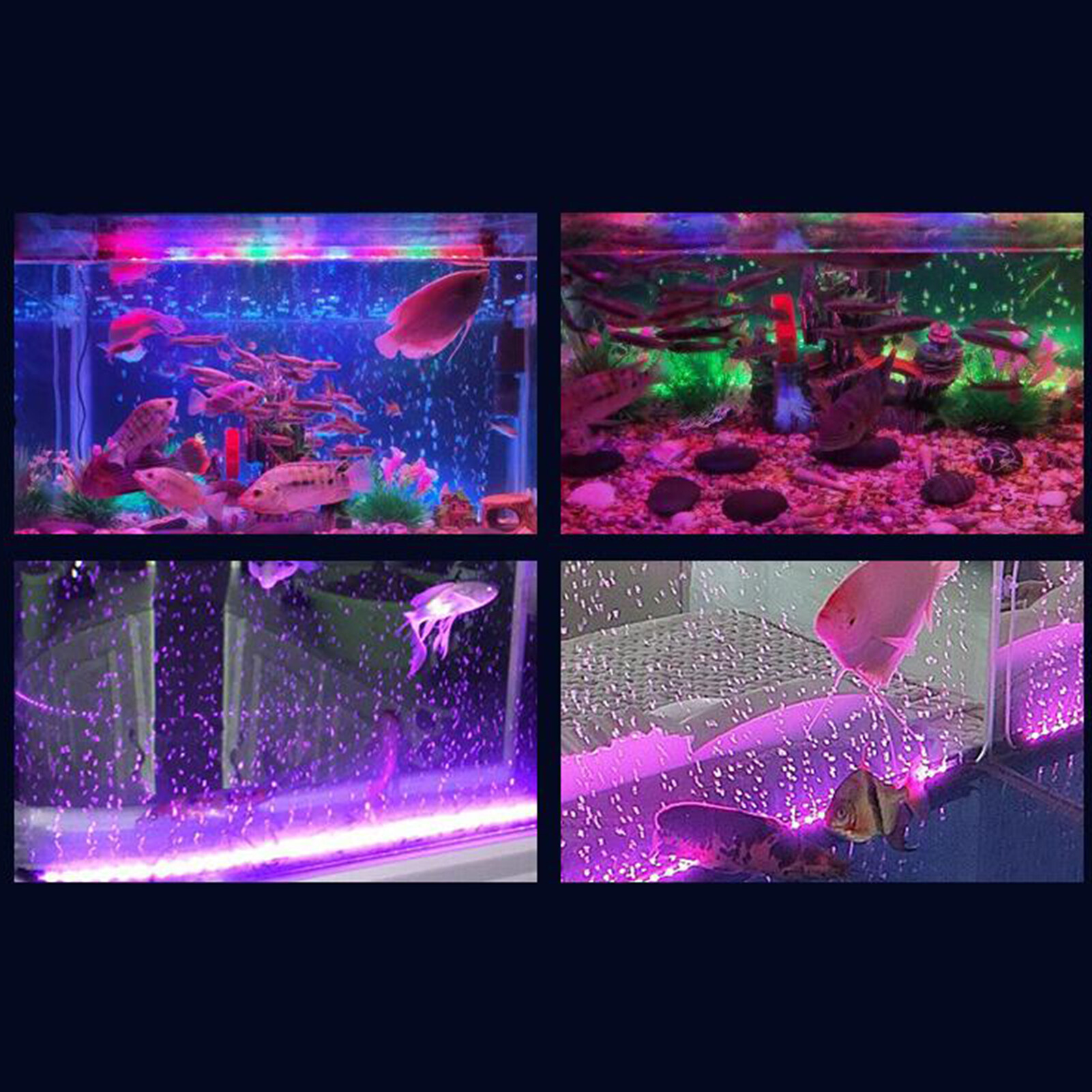 đèn led đầy màu sắc chống nước giúp trang trí và cung cấp bong bóng oxy cho hồ cá huanhuang - intl 8
