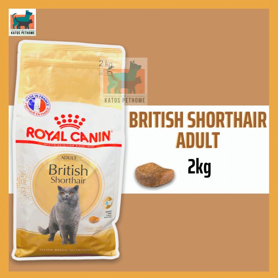Royal canin british shorthair adult 2kg