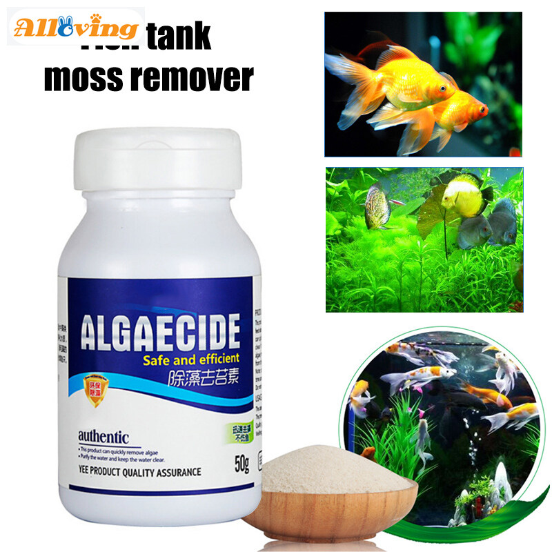 algae killer fish tank