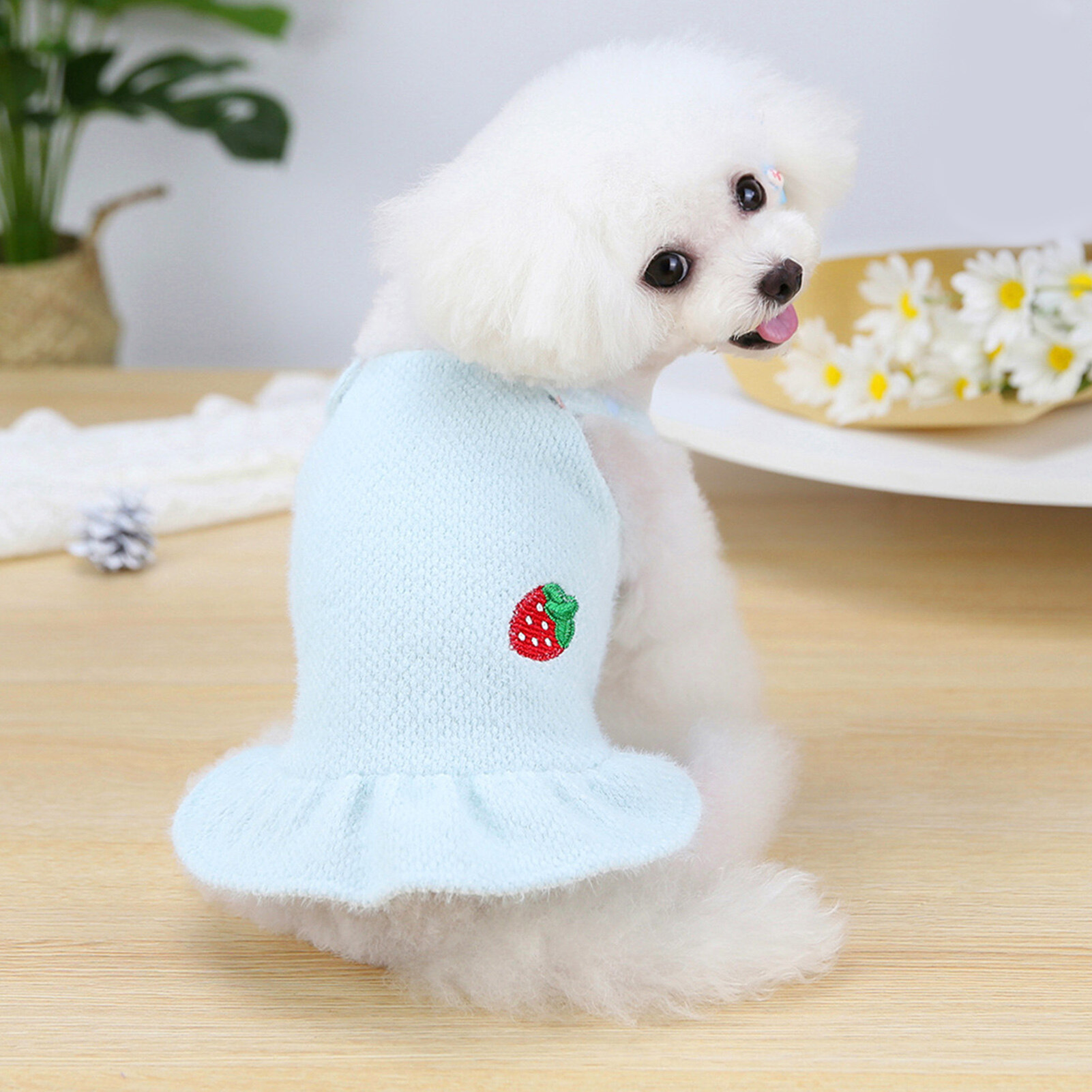 1 Chiếc Váy Dệt Kim Hai Chân Thường Ngày Mềm Mại Thân Thiện Với Da Mùa Đông Thu Màu Trơn Cho Thú Cưng, Váy Cho Chó Mèo Cún Con Mèo Con